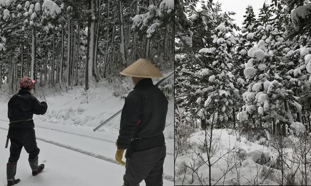 もういくつ寝るとお正月。12/15はお松迎えの日！