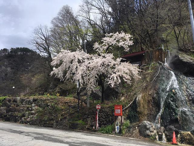 今年初めの地区作業開始!!