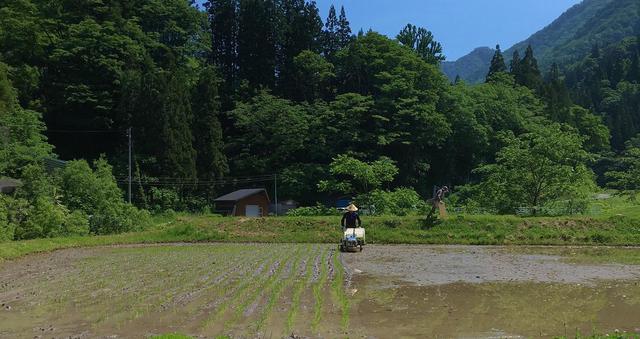 小谷村春のイベント雨飾山安全祈願祭と棚田の田植え