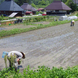 伊折農業生産組合