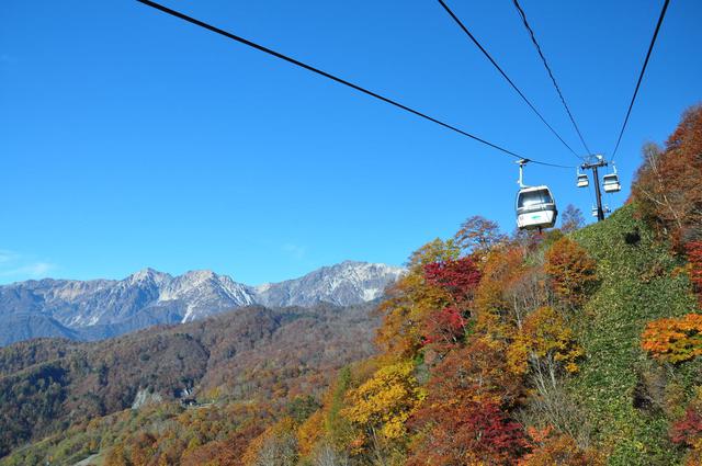 賢く紅葉を楽しむ！通常3,700円のチケットがなんと1,200円（67％OFF）に！！