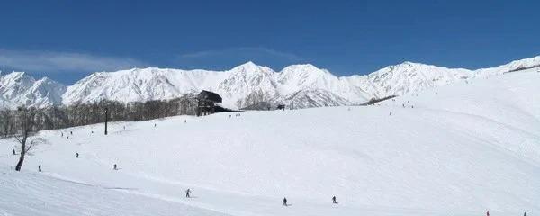 白馬岩岳スノーフィールド