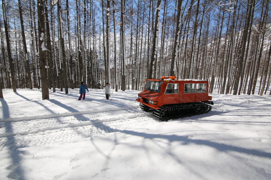 snow_up_car