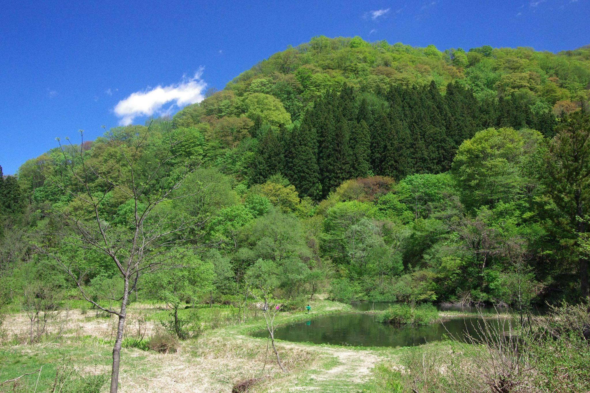探検村2.jpg